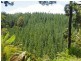 2184 Preolenna Road, Preolenna TAS 7325