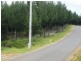 2184 Preolenna Road, Preolenna TAS 7325