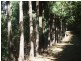 2184 Preolenna Road, Preolenna TAS 7325