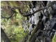 2184 Preolenna Road, Preolenna TAS 7325