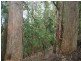 2184 Preolenna Road, Preolenna TAS 7325