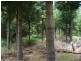 2184 Preolenna Road, Preolenna TAS 7325