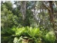 2184 Preolenna Road, Preolenna TAS 7325