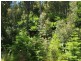 2184 Preolenna Road, Preolenna TAS 7325