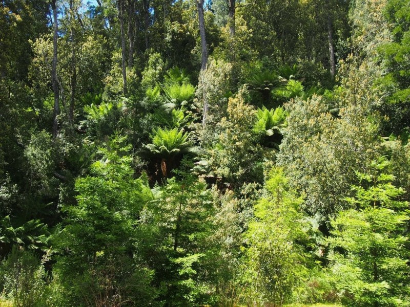 2184 Preolenna Road, Preolenna TAS 7325