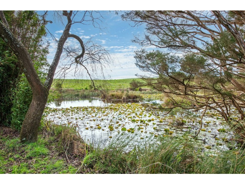 91 Pollards Road, Rocky Cape TAS 7321