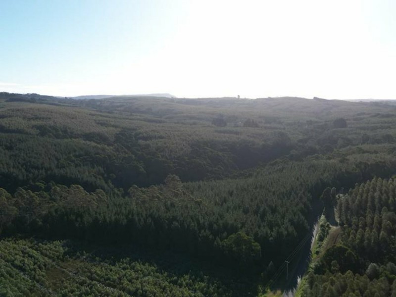 2184 Preolenna Road, Preolenna TAS 7325