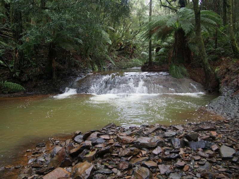 2184 Preolenna Road, Preolenna TAS 7325