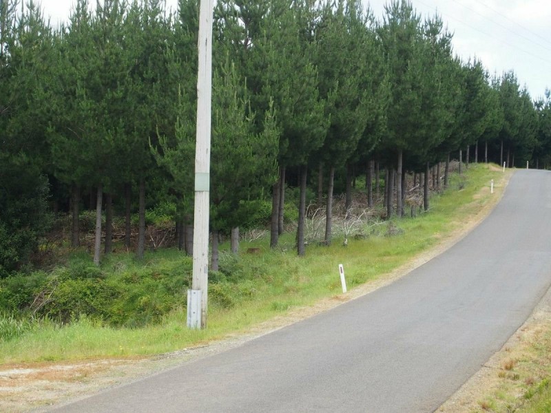 2184 Preolenna Road, Preolenna TAS 7325