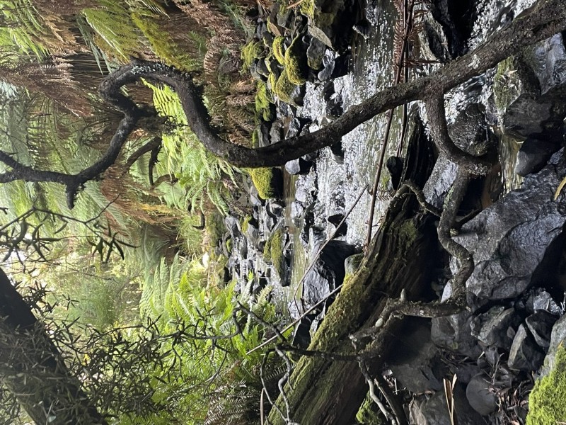 2184 Preolenna Road, Preolenna TAS 7325