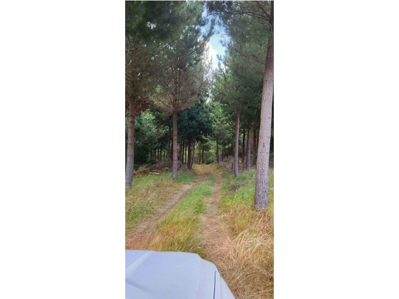 2184 Preolenna Road, Preolenna TAS 7325