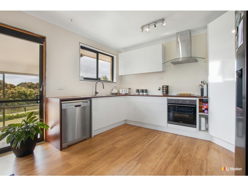 19 Tippetts Road, Mount Hicks TAS 7325