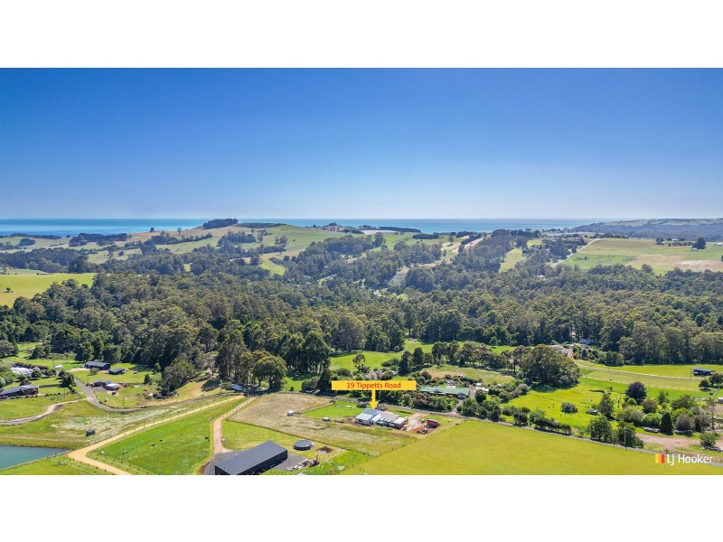 19 Tippetts Road, Mount Hicks TAS 7325