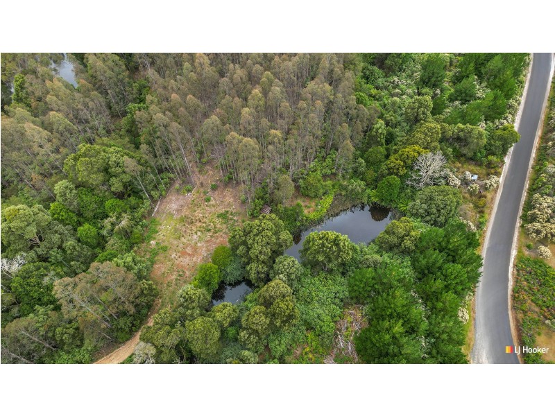 12 Thompson Road, Preolenna TAS 7325