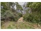 12 Thompson Road, Preolenna TAS 7325