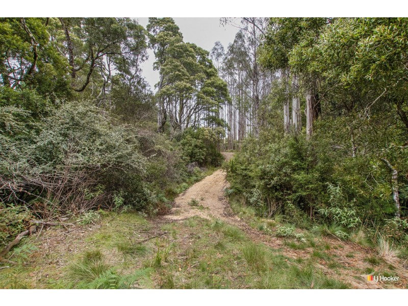 12 Thompson Road, Preolenna TAS 7325