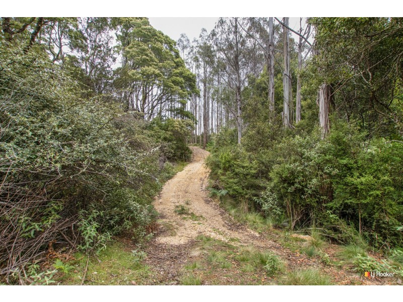 12 Thompson Road, Preolenna TAS 7325