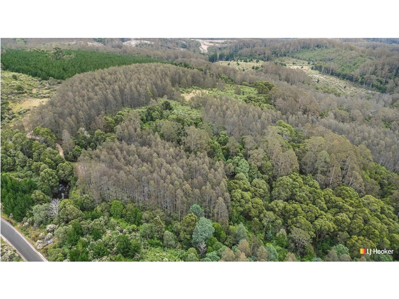 12 Thompson Road, Preolenna TAS 7325