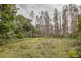 12 Thompson Road, Preolenna TAS 7325