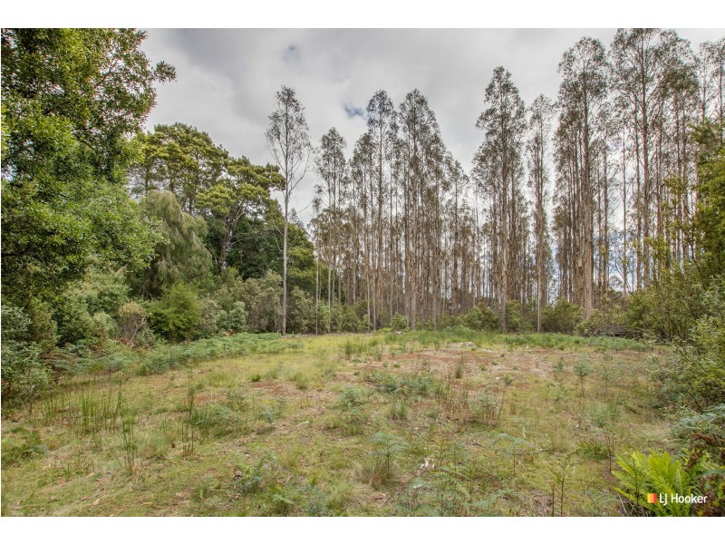 12 Thompson Road, Preolenna TAS 7325