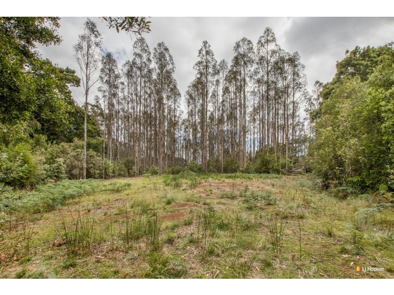 12 Thompson Road, Preolenna TAS 7325