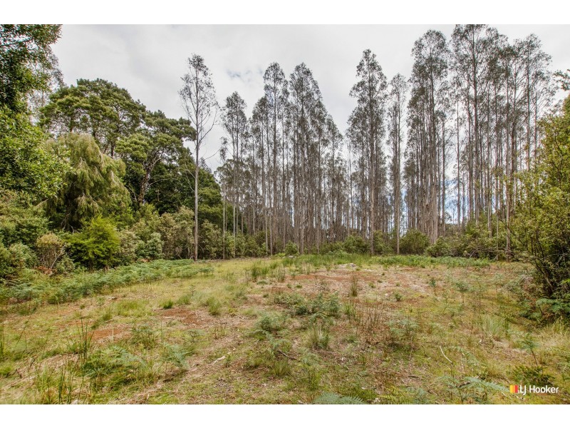 12 Thompson Road, Preolenna TAS 7325