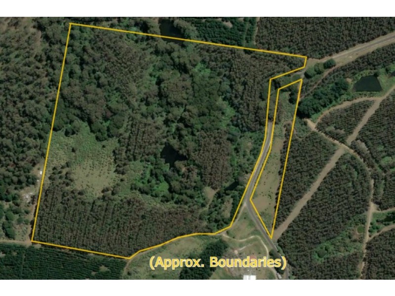 12 Thompson Road, Preolenna TAS 7325