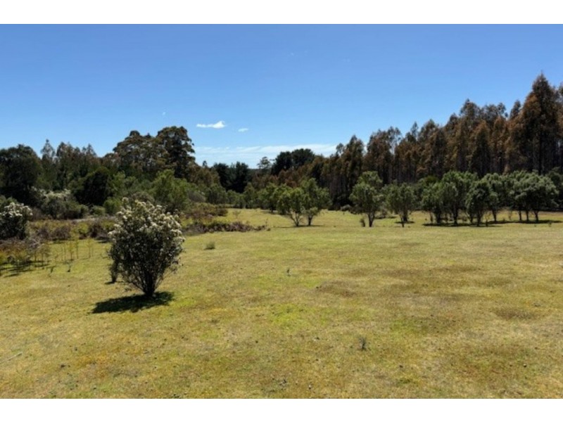 12 Thompson Road, Preolenna TAS 7325