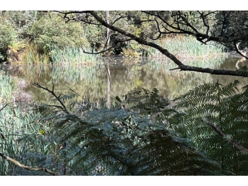 12 Thompson Road, Preolenna TAS 7325