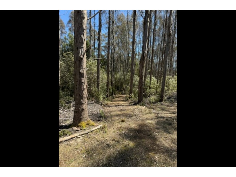 12 Thompson Road, Preolenna TAS 7325