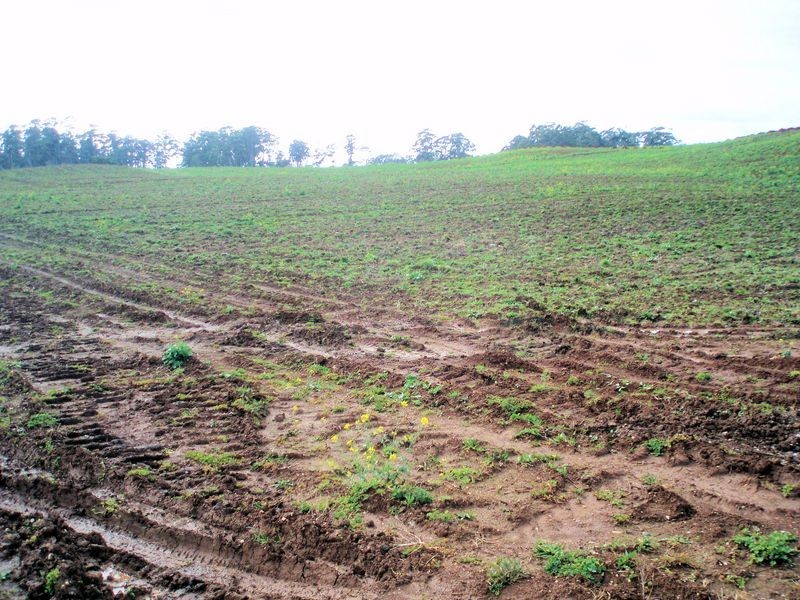 44 Seabrook Road, Somerset TAS 7322