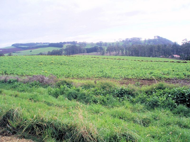 44 Seabrook Road, Somerset TAS 7322