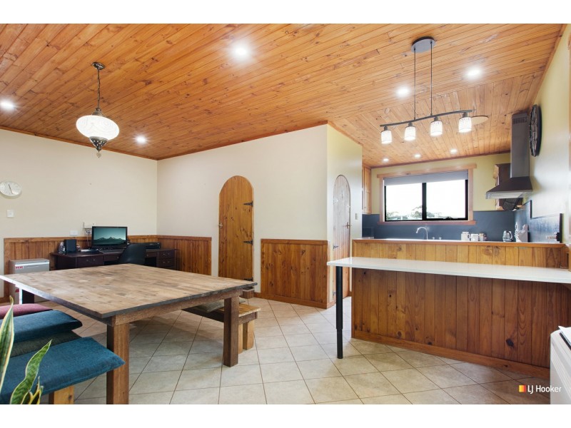 185 Preolenna Road, Flowerdale TAS 7325