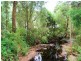11 Bridge Street, Sisters Beach TAS 7321