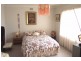 163 Old Bass Highway, Wynyard TAS 7325