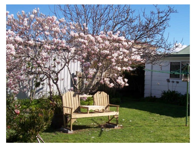 155 Old Bass Highway, Wynyard TAS 7325