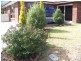 43 Walker Street, Wynyard TAS 7325