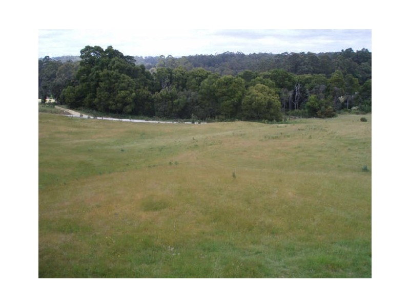 99 Beatties Road, Lapoinya TAS 7325