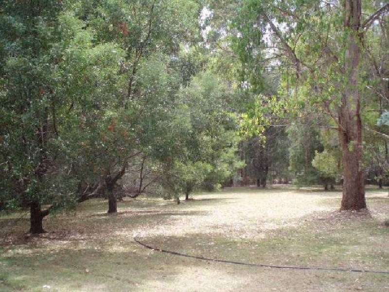 1131 Preolenna Road, Moorleah TAS 7325