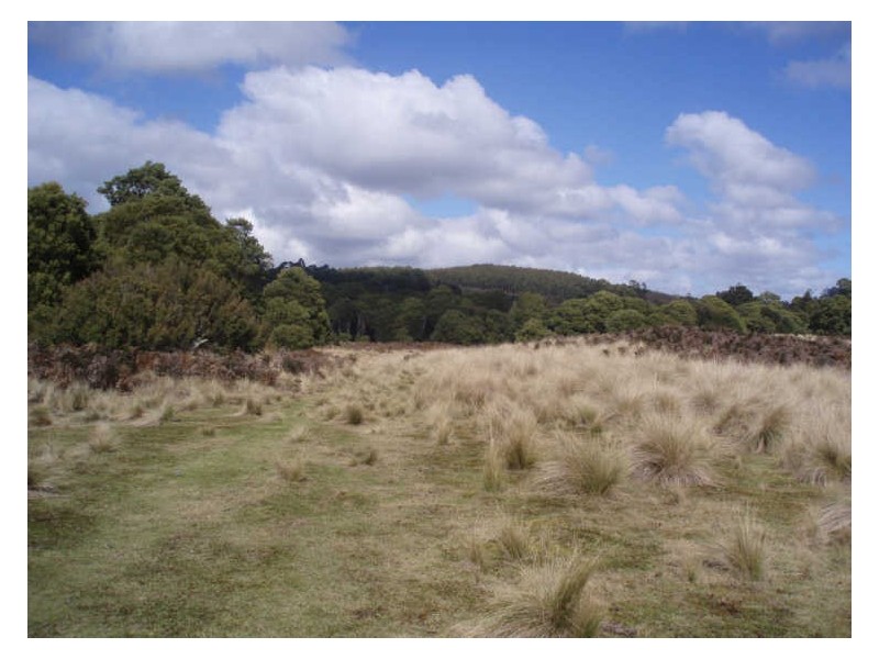 Hills Road, Meunna TAS 7325