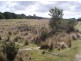 Hills Road, Meunna TAS 7325