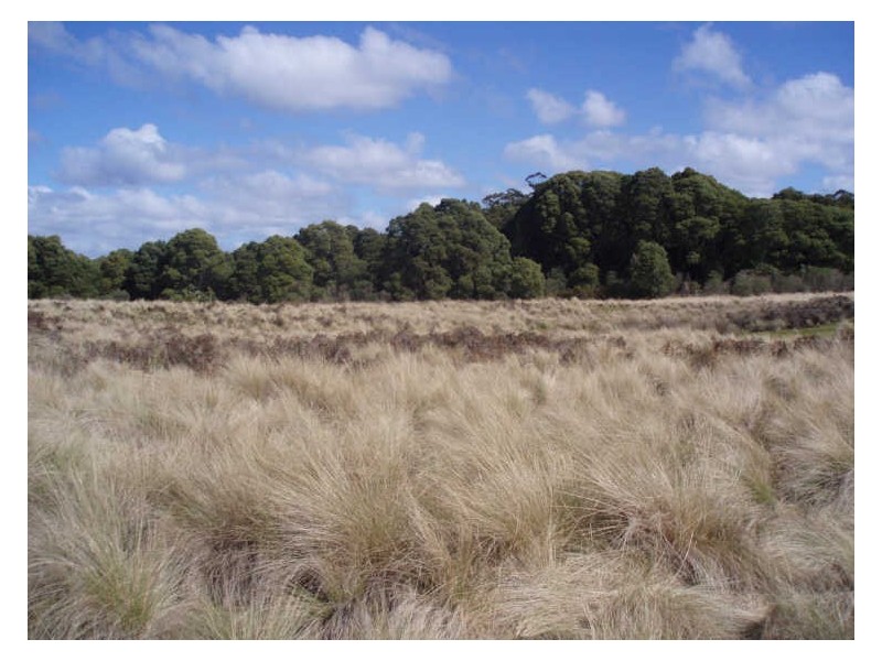Hills Road, Meunna TAS 7325