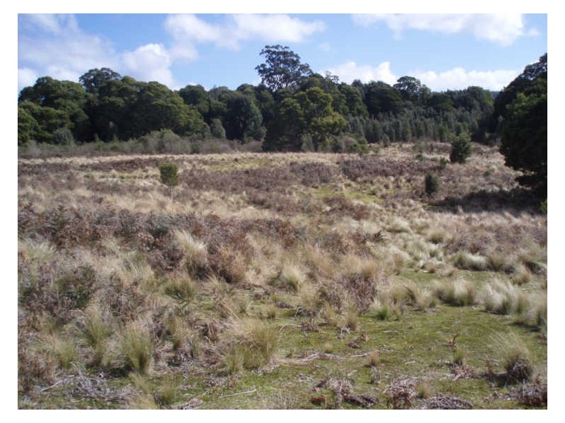 Hills Road, Meunna TAS 7325