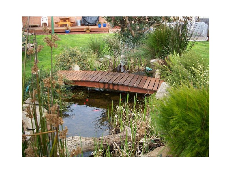 43 Jenner Street, Wynyard TAS 7325