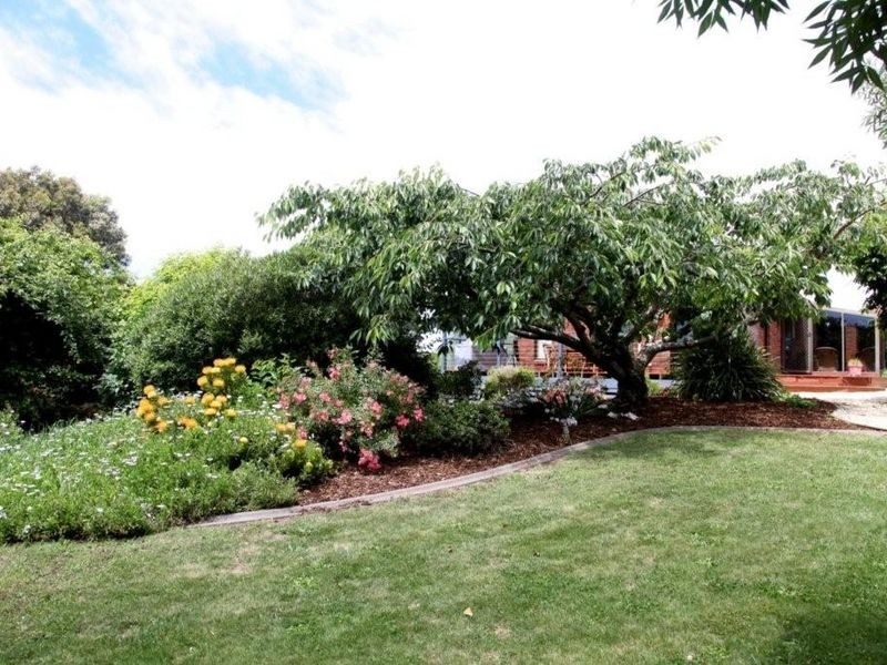 16 Sisters Beach Road, Boat Harbour TAS 7321