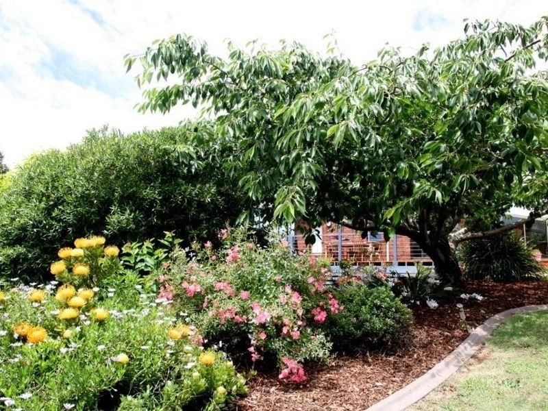 16 Sisters Beach Road, Boat Harbour TAS 7321
