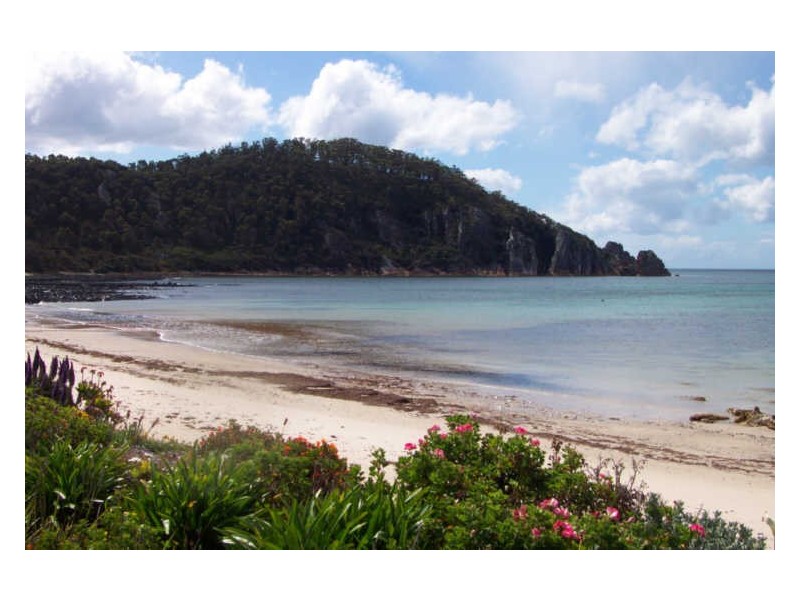 143 Irby Boulevard, Sisters Beach TAS 7321