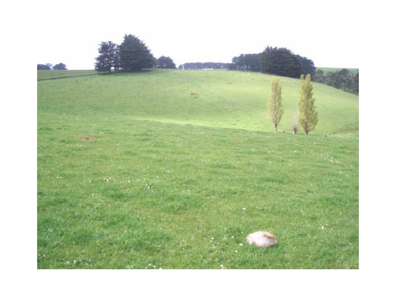 599 Tollymore Road, Table Cape TAS 7325