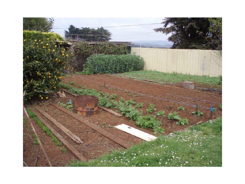 599 Tollymore Road, Table Cape TAS 7325