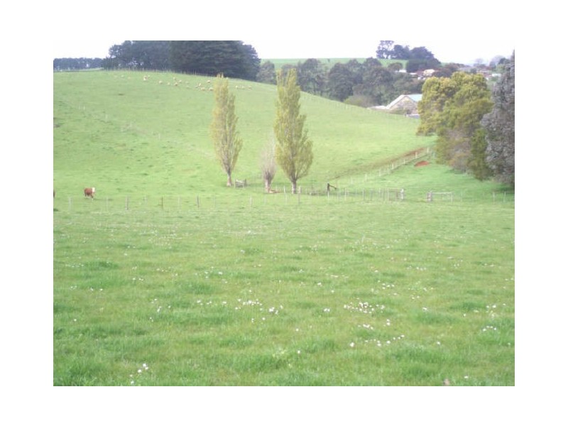 599 Tollymore Road, Table Cape TAS 7325